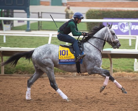 Essential Quality Horses and horsemen training toward the Breeders’ Cup at Del Mar on Nov. 4, 2021. 