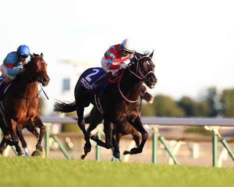 Contrail wins the Japan Cup Sunday, November 28, 2021 at Tokyo Racecourse
