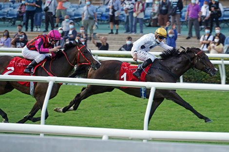 The Golden Sixty team coached by Francis Lui, with Vincent Ho on board, won the G2 BOCHK Private Wealth Jockey Club Mile (1600m) at Sha Tin Racecourse today