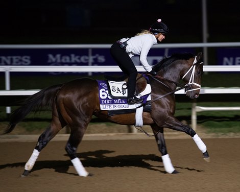 Life is Good<br>
Horses and horsemen training toward the Breeders’ Cup at Del Mar on Nov. 1, 2021. 