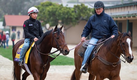 Art Collector with exercise rider Neil Poznansky is led by trainer Bill Mott to the track for training Thursday Nor. 4, 2021 at the Del Mar Race Track in San Diego, CA. Photo by Skip Dickstein