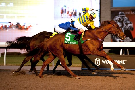 Racer Rafael Hernandez guides Pink Lloyd to victory in the final race of his illustrious career in Class II Kennedy Road Stakes worth $175,000 to Entourage Stable owner and trainer Robert P. Tiller