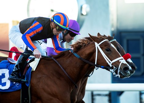 Tezzaray and jockey Irad Ortiz, Jr., outside, outleg, Awake At Midnyte, inside, to win the Grade III, $100,000 Jimmy Durante Stakes, Saturday, November 27, 2021 at Del Mar Thoroughbred Club, Del Mar CA.<br><br />
&#169; BENOIT PHOTO
