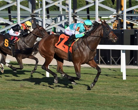 Miss J McKay wins the 2021 Abundantia Stakes at Gulfstream Park