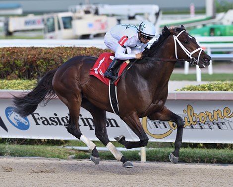 Emmanuel - Maiden Win, Gulfstream Park, December 11, 2021