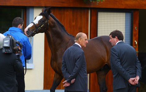 The Duke Of Edinburgh speaks with the Minister of state Shane McEntee as Jeremy is paraded Irish National Stud Photo: Patrick McCann 19.05.2011