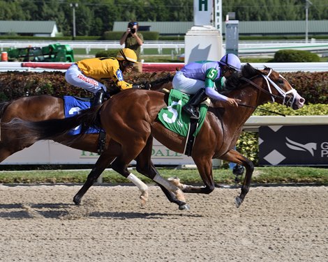 My Prankster - AOC, Gulfstream Park, December 10, 2021