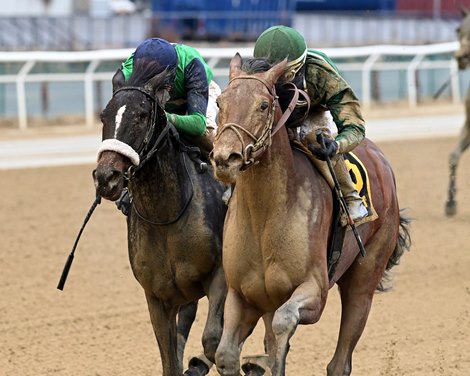 Geno wins the 2021 New York Stallion Series -  Great White Way at Aqueduct