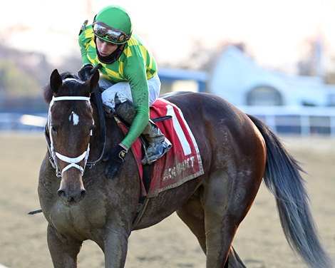 Mo Donegal wins the 2021 Remsen Stakes at Aqueduct
