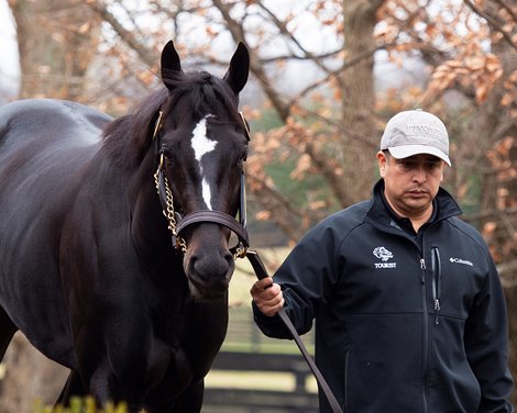 Independence Hall viewing at WinStar on Dec. 10, 2021.