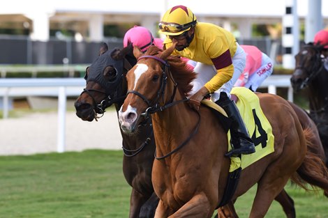 Bipartisanship wins the Tropical Park Oaks Sunday, December 26, 2021 at Gulfstream Park