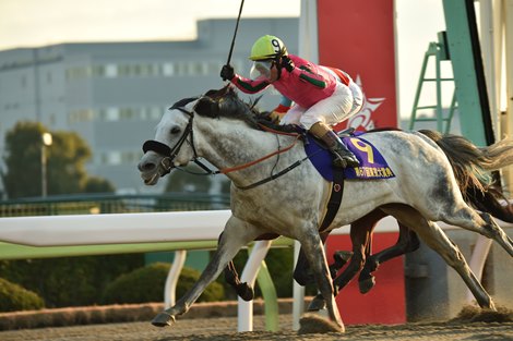 Omega Perfume, ridden by Mirco Demuro and trained by Shogo Yasuda, wins the Tokyo Daishoten Tuesday, December 28 at Oi Racecourse