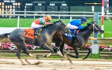 Cooke Creek wins Rocky Run Stakes at Delaware Park on October 16, 21