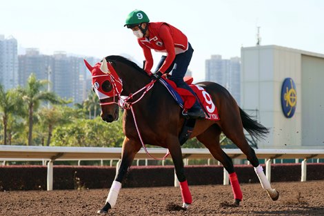 Loves Only You - Trackwork, Sha Tin, December 5, 2021