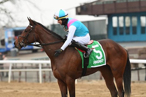 Yo Cuz wins the 2021 New York Stallion Series Stakes - Fifth Avenue at Aqueduct