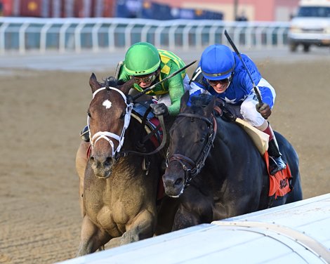 Mo Donegal wins the 2021 Remsen Stakes at Aqueduct