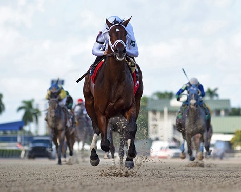 Emmanuel - Maiden Win, Gulfstream Park, December 11, 2021