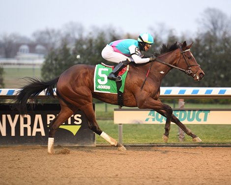 Yo Cuz wins the 2021 New York Stallion Series Stakes - Fifth Avenue at Aqueduct