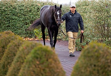 walking outside<br>
Independence Hall viewing at WinStar on Dec. 10, 2021. 