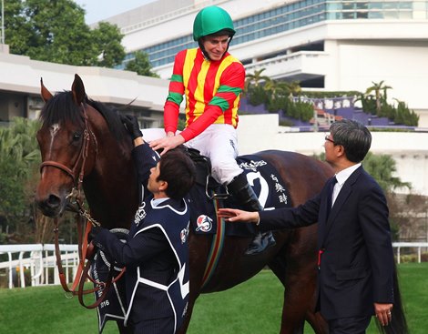 Maurice and Noriyuki Hori after winning the 2016 LONGINES Hong Kong Cup (2000m)