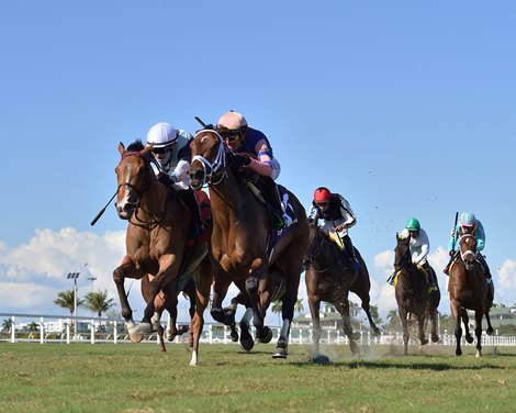 Always Shopping wins the 2021 Via Borghese Stakes at Gulfstream Park                                    