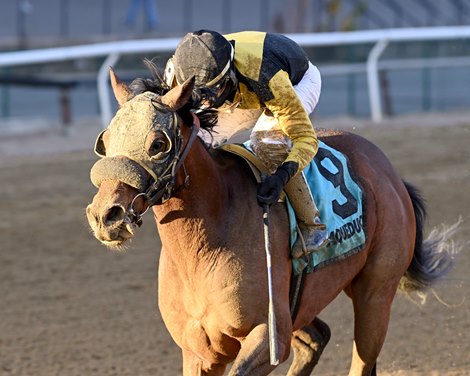 Foretold to win against Queens County Stakes on Sunday, December 19, 2021 at Aqueduct