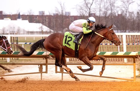 Joe wins the Maryland Juvenile Championship Stakes Saturday, December 18, 2021 at Laurel Park