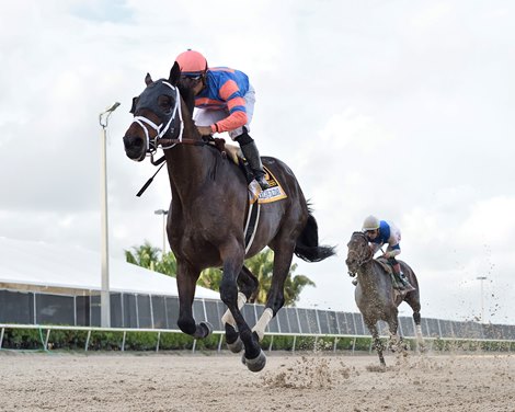 Fearless wins the 2021 Harlan&#39;s Holiday Stakes at Gulfstream Park                             