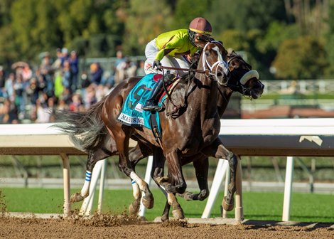 Law Professor and jockey Jose Ortiz, outside, overpower Beyond Brilliant (Kent Desormeaux), inside, to win the Grade II, $200,000 Santa Anita Mathis Mile, Sunday, December 26, 2021 at Santa Anita Park, Arcadia CA.<br><br />
&#169; BENOIT PHOTO