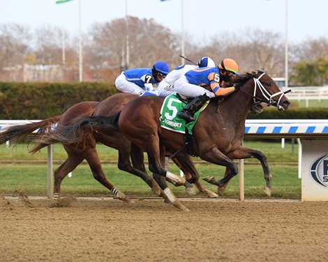 Nest wins the 2021 Demoiselle Stakes at Aqueduct