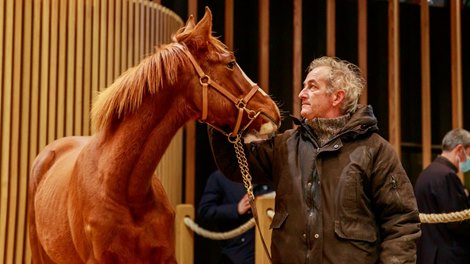 2021 Arqana Breeding Stock Sale, Lot 335 