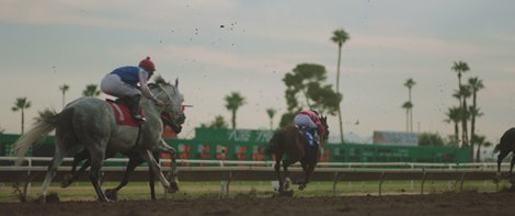 Horses racing during the spin 