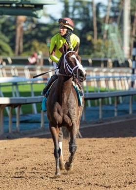 Law Professor wins the Santa Anita Mathis Mile Stakes Sunday, December 26, 2021 at Santa Anita Park