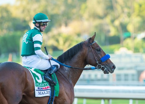 Flightline wins 2021 Malibu Stakes at Santa Anita Park