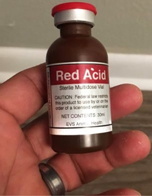 Bottles of PEDs Jorge Navarro administered