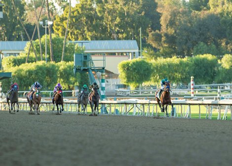 Flightline wins 2021 Malibu Stakes at Santa Anita Park