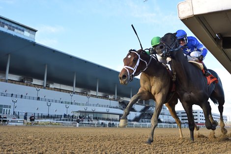 Mo Donegal wins the 2021 Remsen Stakes at Aqueduct                               