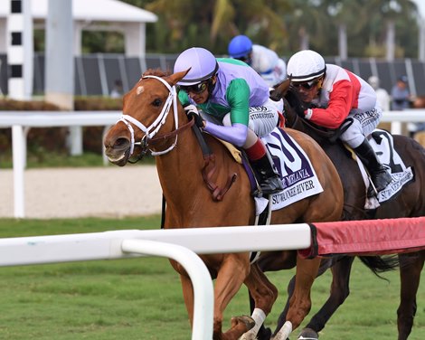 Sweet Melania wins the 2021 Suwannee River Stakes at Gulfstream Park