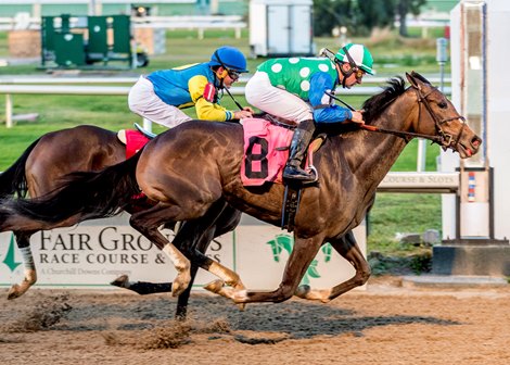 12/26/2021  -  North County with jockey Adam Beschizza aboard outduels Fannie and Freddie to win the inaugural running of the $100,000 Untapable Stakes at Fair Grounds