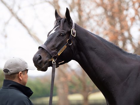 standing<br>
Independence Hall viewing at WinStar on Dec. 10, 2021.