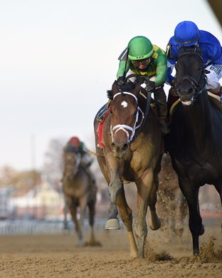 Mo Donegal wins the 2021 Remsen Stakes at Aqueduct                                