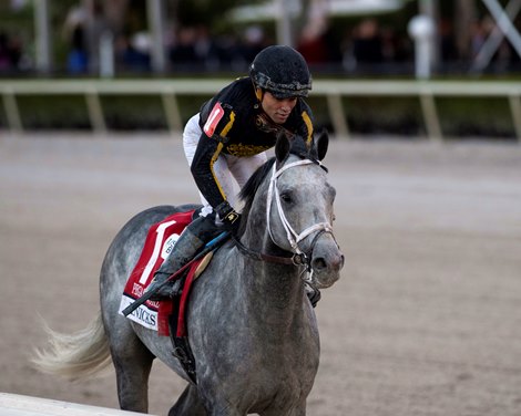 Knicks Go at Gulfstream Park for the 2022 Pegasus Invitational