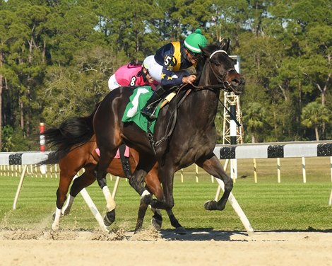 Outfoxed Wins 2022 Gasparilla Stakes at Tampa Bay Downs