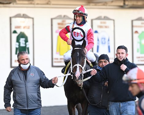 Lobsta (#4) is awarded the victory in the Say Florida Sandy Stakes at Aqueduct after the disqualification of My Boy Tate (#5)