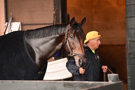 Life Is Good - Palm Beach Downs, January 22, 2022