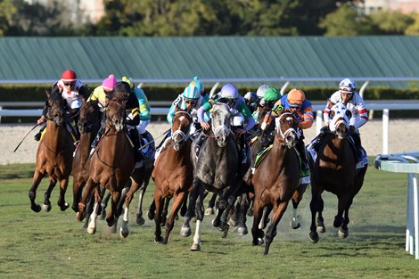 Colonel Liam wins the 2022 Pegasus World Cup Turf Invitational Stakes at Gulfstream Park