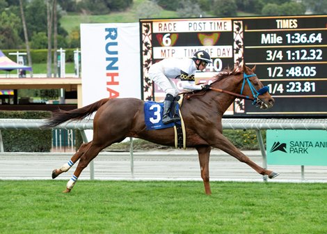 Aligato and jockey Flavien Prat win the $200,000 Unusual Heat Turf Classic, Saturday, January 15, 2022 at Santa Anita Park, Arcadia CA.