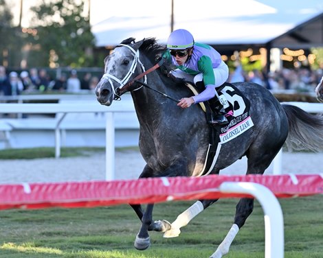 Colonel Liam wins the 2022 Pegasus World Cup Turf Invitational Stakes at Gulfstream Park