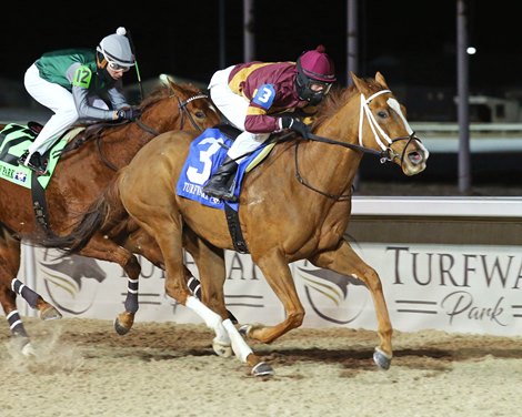 Lady Edith wins the Wishing Well Stakes January 29, 2022 at Turfway Park