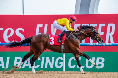 Bendoog (Bhupat Seemar - James Doyle) wins Emirates Skywards sponsored by Emirates JANUARY 23, 2022– 1600m, Dirt race